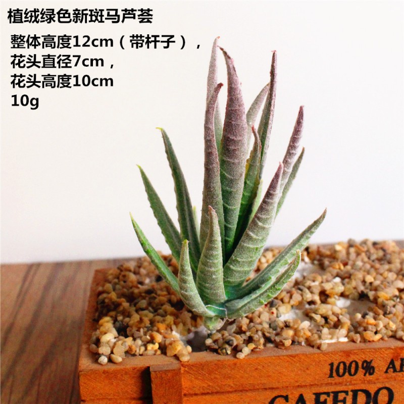 Flocking green red tip new zebra aloe Succulent Artificial Flowers