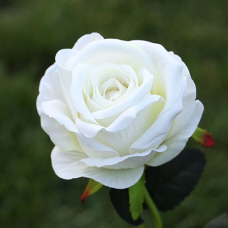 white Rose Artificial Flower