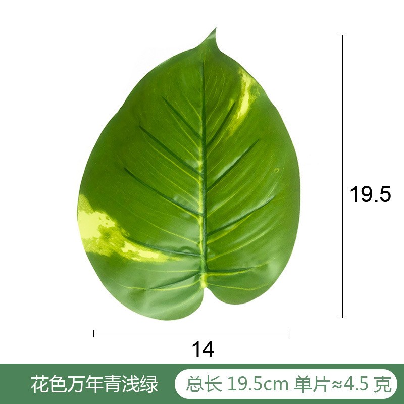 evergreen light green plastic single piece Artificial Plant Leaf