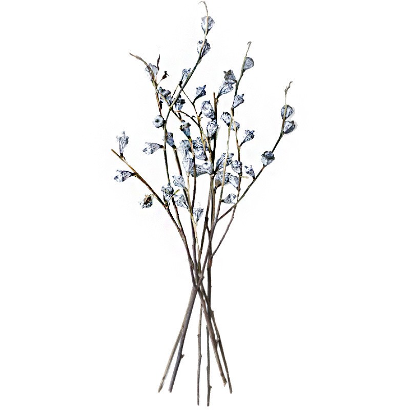 One Eucalyptus Ginkgo Dried Flowers
