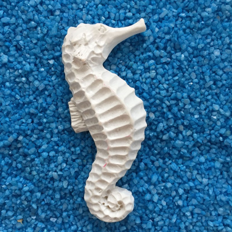 Seahorse 6.5Cm Micro Landscape Diorama DIY Crafts