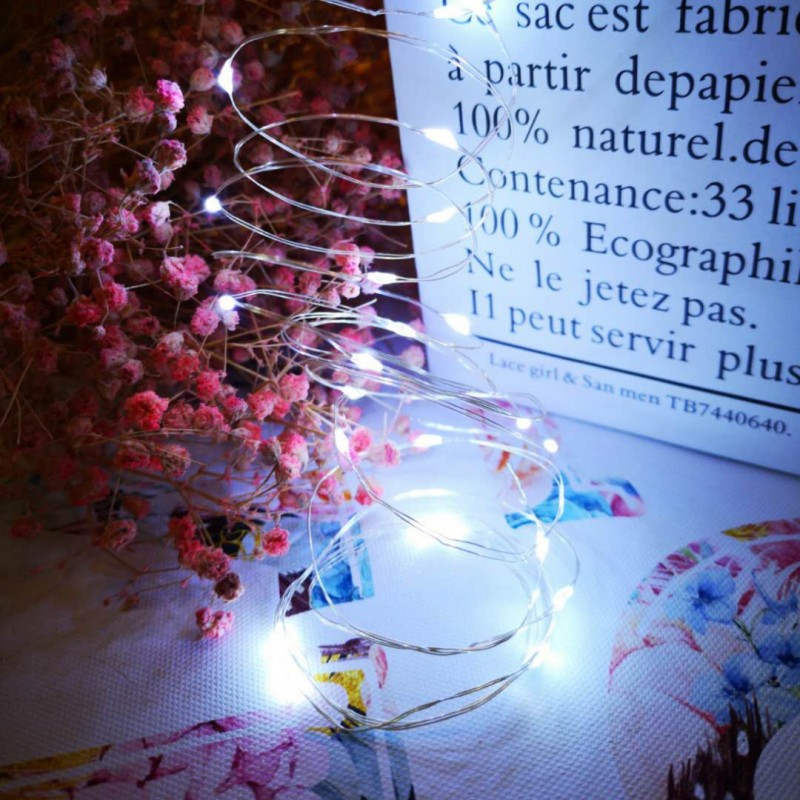 White 1 Meter 10 Lights LED String Lights