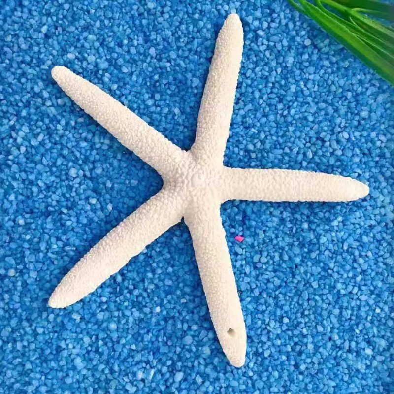 10Cm Starfish With Holes Micro Landscape Diorama DIY Crafts