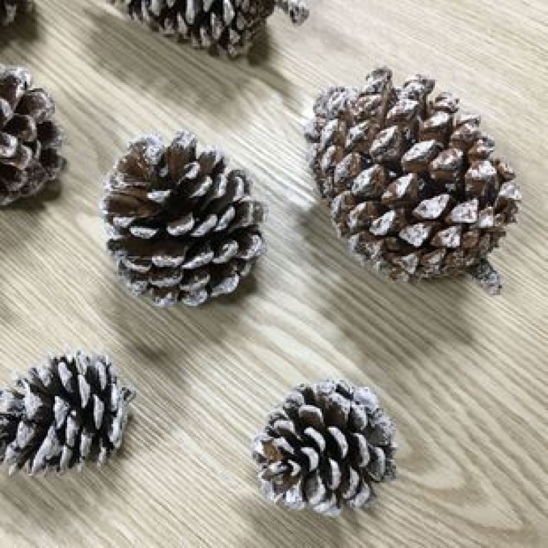 Dyed White Pine Cones About 3 4Cm Craft Supplies DIY