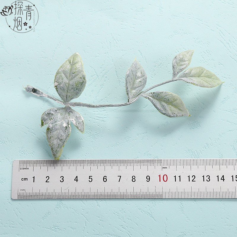 14 Artificial Plant Clearance