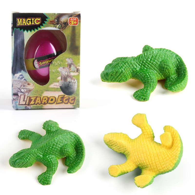 Lizard Eg Growing Water Eg