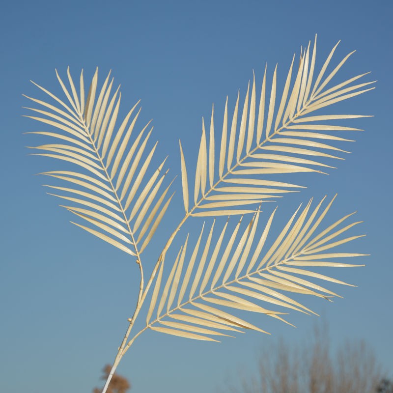 3-Pronged Tail Artificial Flower Stem
