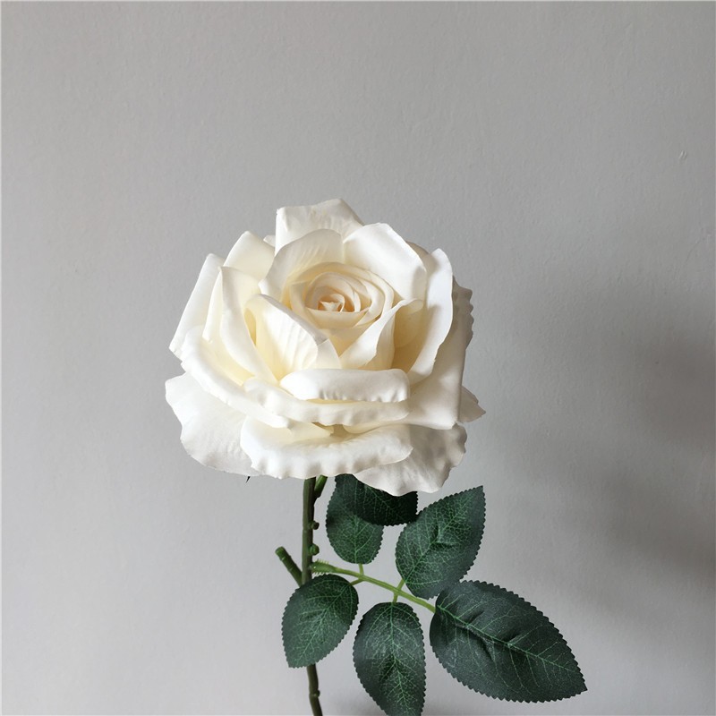 Milky White Single Rose