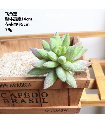 flocking green flying horn Succulent Artificial Flowers Clearance