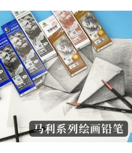 8B Professional Sketch Pencil