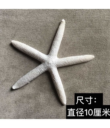 10Cm Starfish Micro Landscape Diorama DIY Crafts Clearance