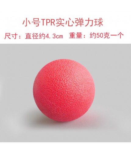 Small Bouncy Ball Pet Ball Toy