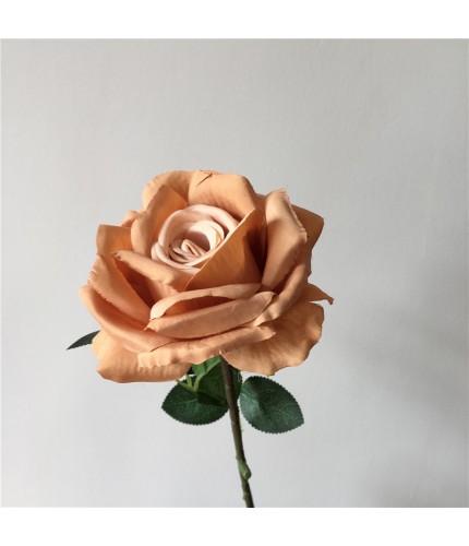Yellow Coffee Single Rose Clearance