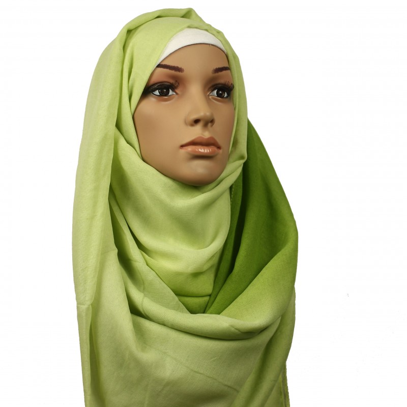 Extra Ombre Light Green